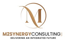 M2Synergy Consulting LLC