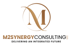 M2Synergy Consulting LLC
